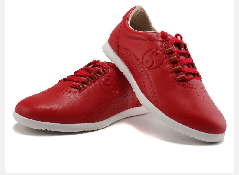 The Dao 道 of Zen Martial Arts Shoes • Authentic Zen Leather • Flexible & Breathable • Gender Neutral • Qigong, Tai Chi, Kung Fu, Gongfu, Martial Arts
